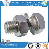 Stainless Steel Hex Bolt Hex Screw with Hex Nut and Flat Washer