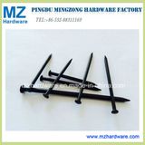 Black Concrete Steel Nail for Building