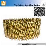 Electro Galvanized Coil Common Nail with Smooth Shank