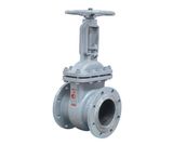 GOST Standard/Russia Standard Cast Steel/Wcb Gate Valve (Z41H-16C)