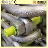 Factory Price Screw Pin Anchor U Shackle with Good quality