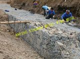 Anping Factory of 2X1X1 Galvanized / PVC Coated Wire Mesh Gabion