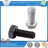 Carbon Steel Class 10.9 Hex Head Bolt for Machine