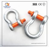 Heavy Duty G80 G209A Alloy Steel Body Screw Pin Shackle