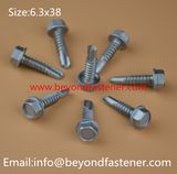 Building Screw Fastener