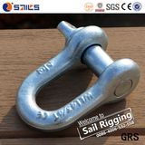 Electric Galvanized US Type Steel Drop Forged Screw Pin D Shackle