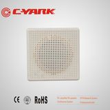 C-Yark Small Power 3W Wall Mounted Speaker