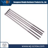 Custom Made Plated Common Round Stainless Steel Screw Nail