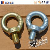 High Strength Galv DIN 580 Eye Bolt Screw Rigging Hardware