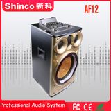 Shinco 12'' Bluetooth Wireless Multimedia Active Prefessional Speaker