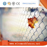 PVC Coated Chain Link Fence Hot Sale