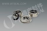 Mechanical Seals for Flygt Pump (BT05)