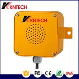 IP Loudspeaker Amplifier Wall Mounting Module SIP Public Address Speaker