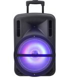 12 Inch Speaker with FM Remote Wireless Microphone Bluetooth F12-1