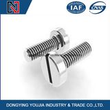 in Stock Cks Cross Recessed Cheese Machine Screws M2/M3/M4/M5/M6