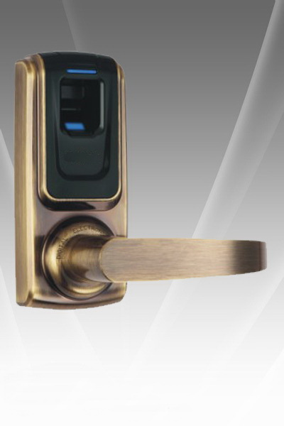 RF Card WiFi bluetooth Remote Fingerprint Door Lock