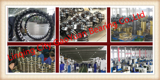 SKF Bearing & Original Packing & High Presicion Quality 6309 2RS1